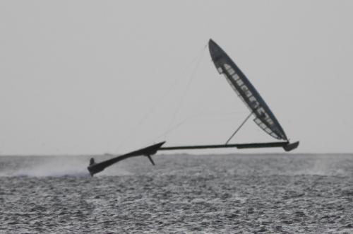 sail rocket